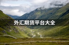 中国十大外汇appLMAX也是欧