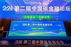 中国节能协会监事长、中