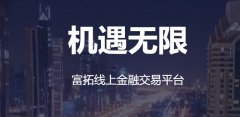 国际三大外汇平台企业营