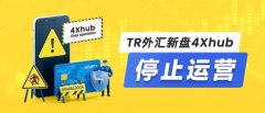 6、我以委托理财形式钱给