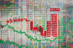 外汇自助经办平台2025年实