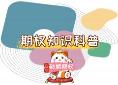 示例：若账户有100万元—