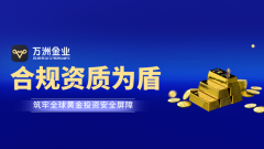 为投资者提供了与国际市