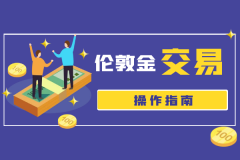 新手可先申请模拟账户熟