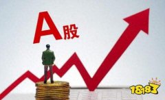 股票账户查询期权1.8元/张