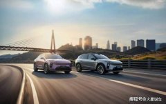 且本土化适应性稍弱；而